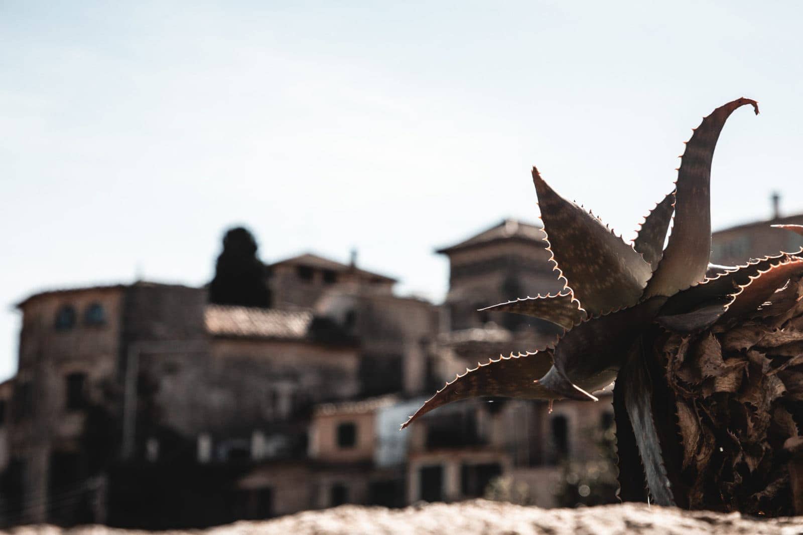 Valldemossa Attractions Mallorca