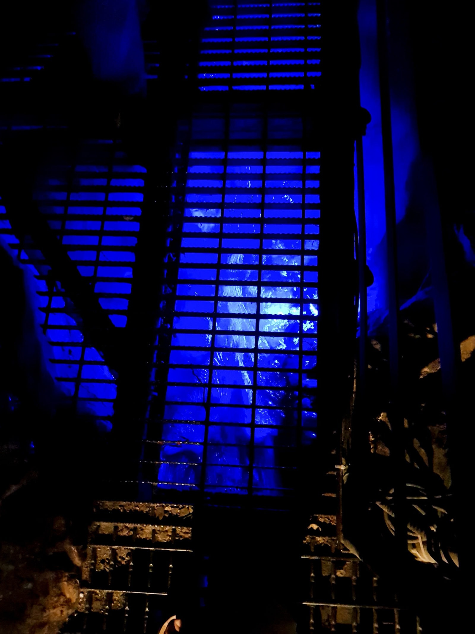 Vielschichtiges Jerusalem: Ein Tag in der City of David (Davidsstadt) 16 Hiskija Tunnel Jerusalem