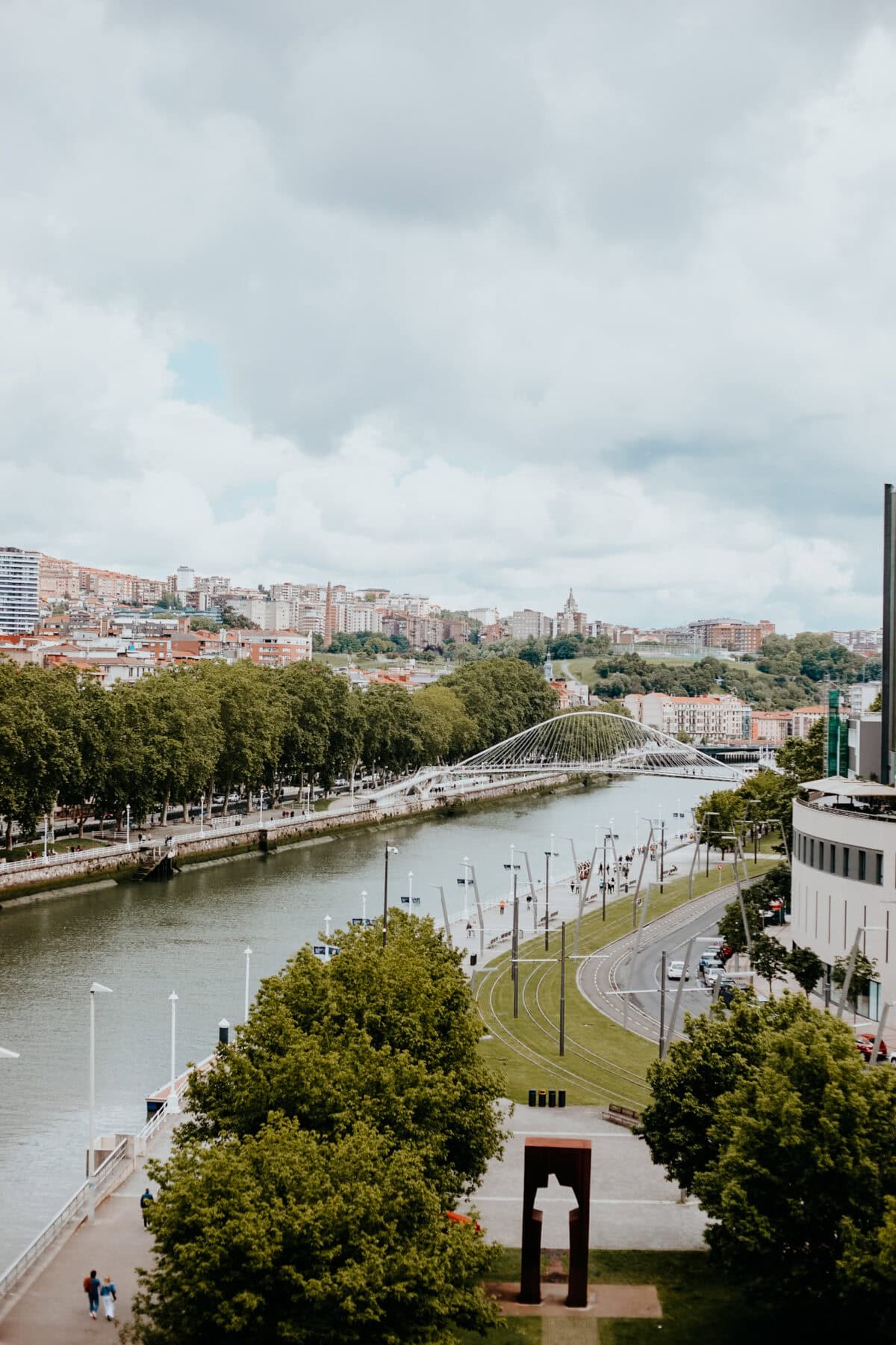 View of riverbank and modern bridge in urban landscape.