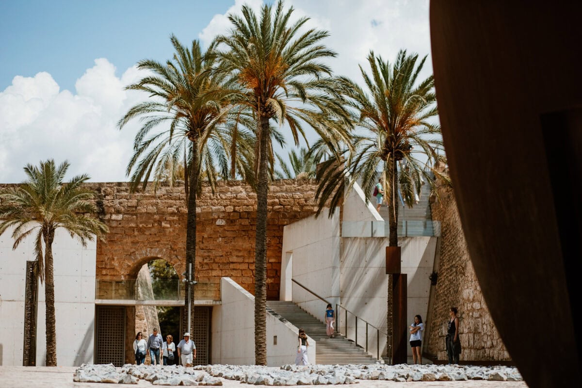 Palm trees and ancient stone wall in a sunny setting