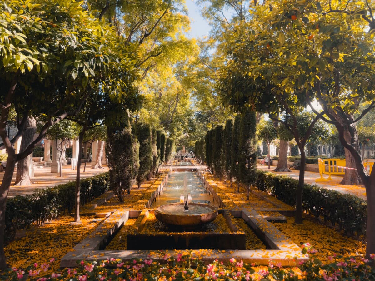 Blooming garden with fountain and trees