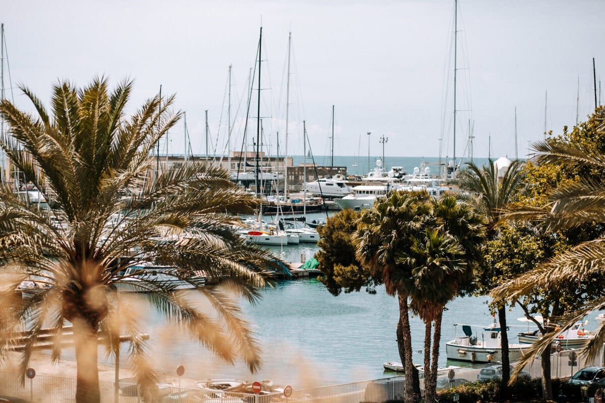 Marina with palm trees and sailing boats by the sea.