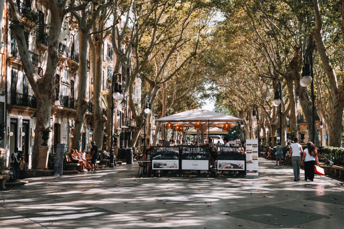 Boulevard with trees and street café in the sunshine.