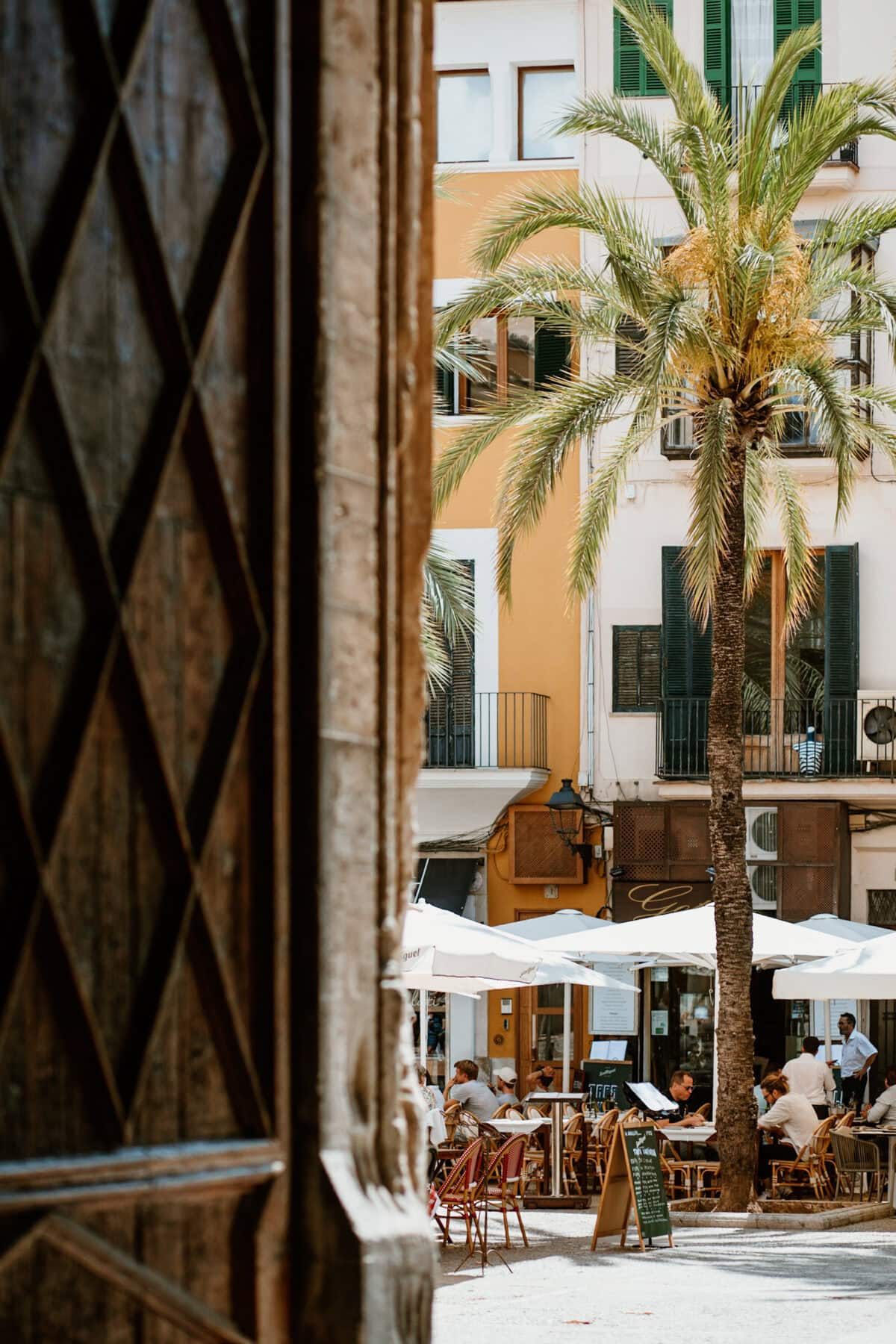 Street café with parasols and palm trees.