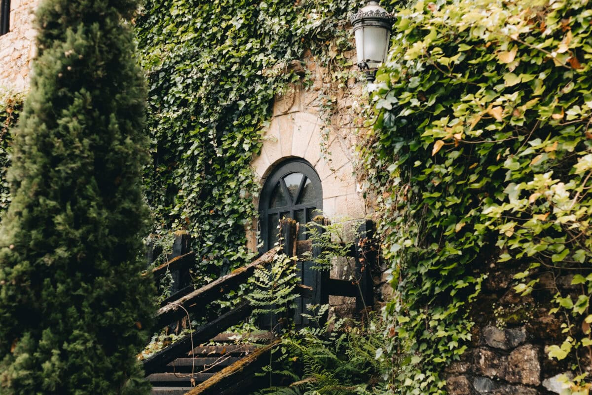 Bewachsene Steinwand mit altem Fenster und Lampe