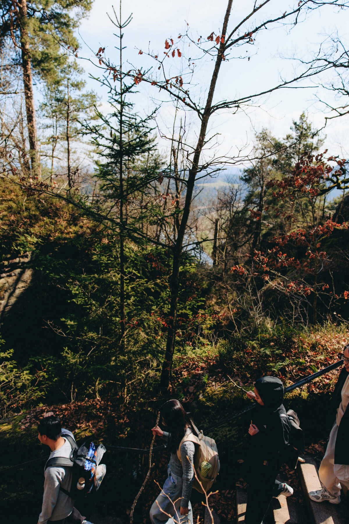 Wanderer mit Rucksäcken im herbstlichen Wald