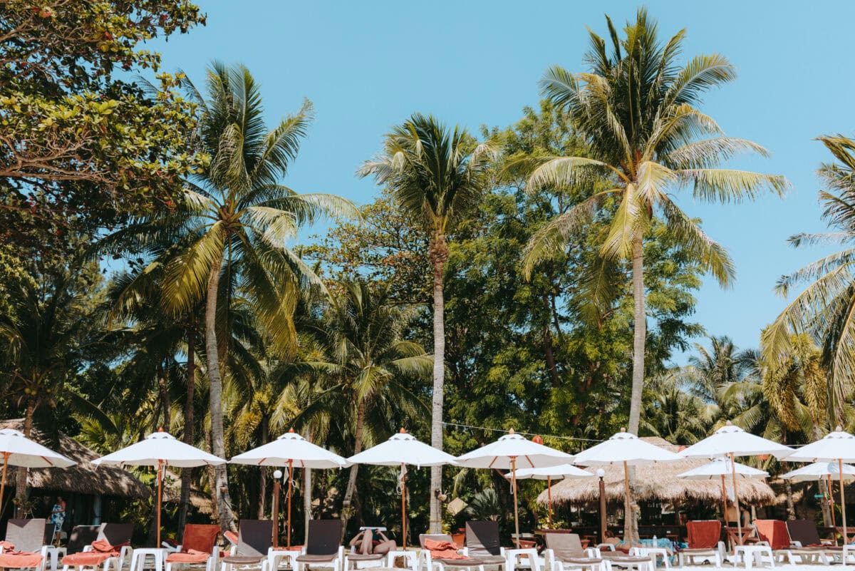 Palm beach with white parasols and sun loungers