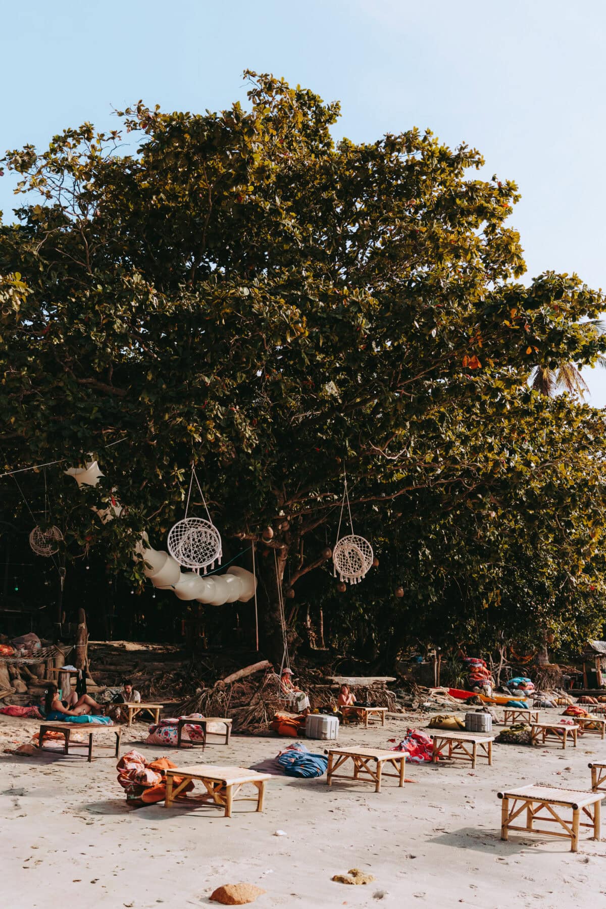 Beach with large tree and hanging decorations