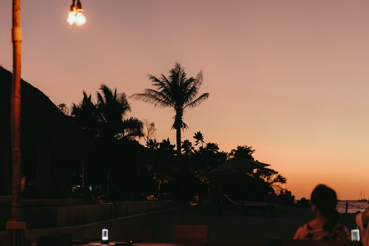 Palm trees on the beach at sunset