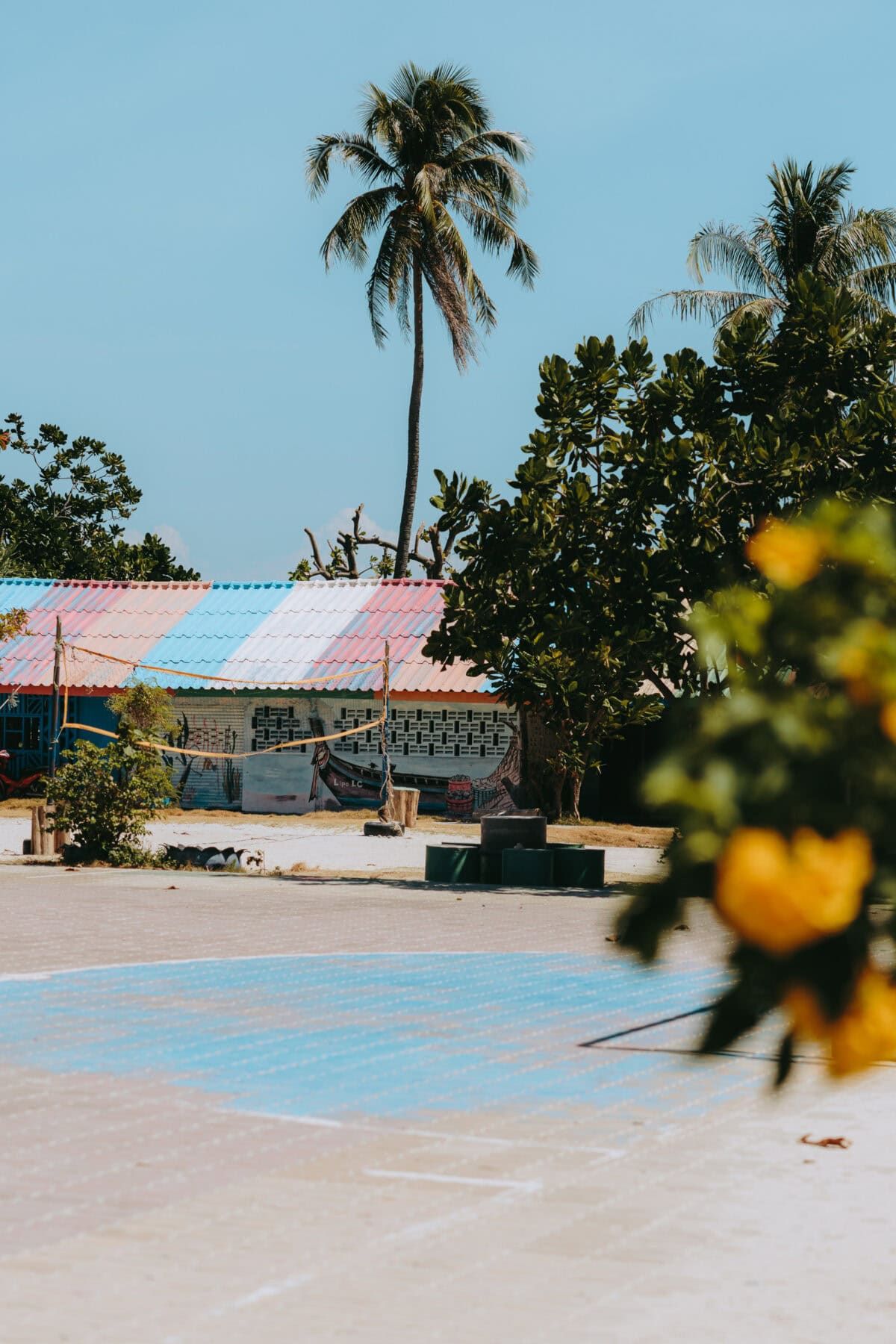 Palm tree in front of a colorful roof under a blue sky