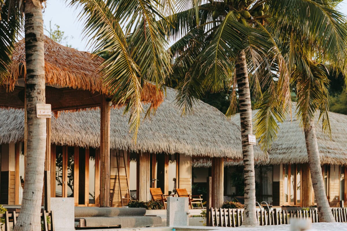 Tropical beach bungalows under palm trees with thatched roofs