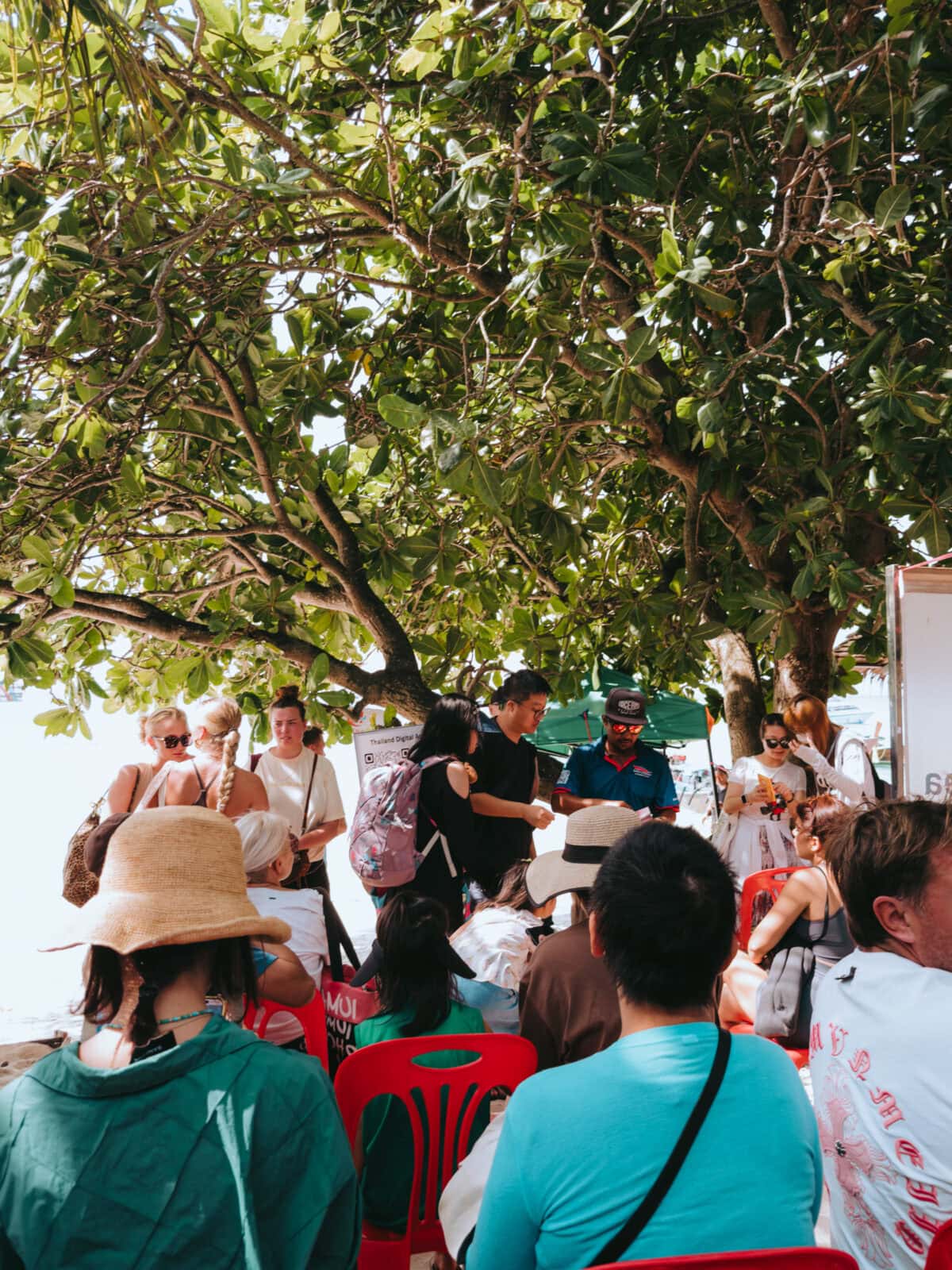 Tourists under a large tree on the beach