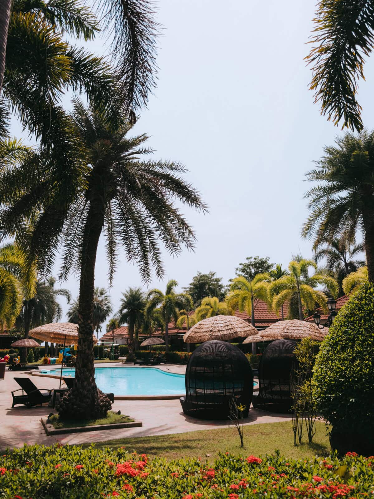 Tropical pool area with palm trees and sun loungers